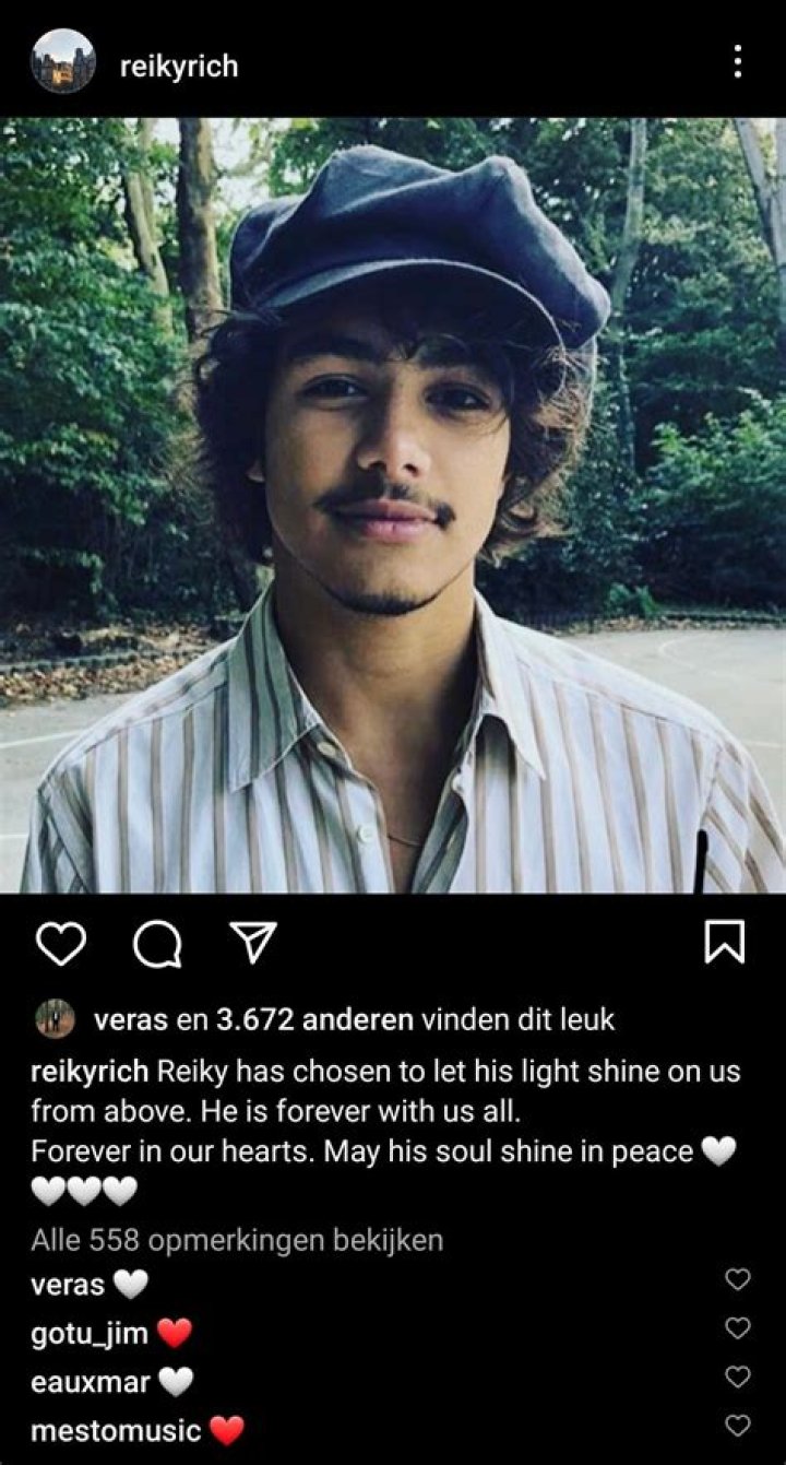 Reiky De Valk Age And Wikipedia | How Old Was The Actor