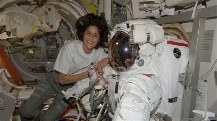 Sunita Williams | Husband Michael J. Williams | Kids And Family